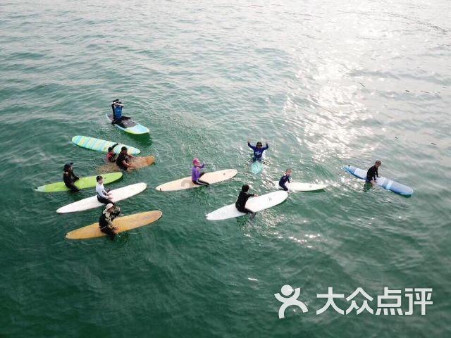 电影《十二夜》的结局知识星球平台，高质量内容尽在此